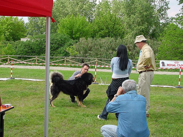 Immagine 060.jpg